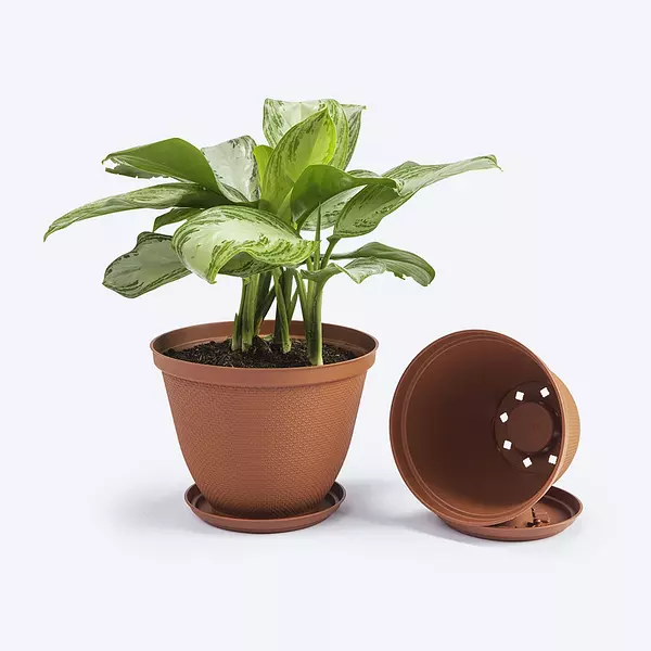 Matera Rimax Redonda Rafia 30 Cm Con Plato Terracota