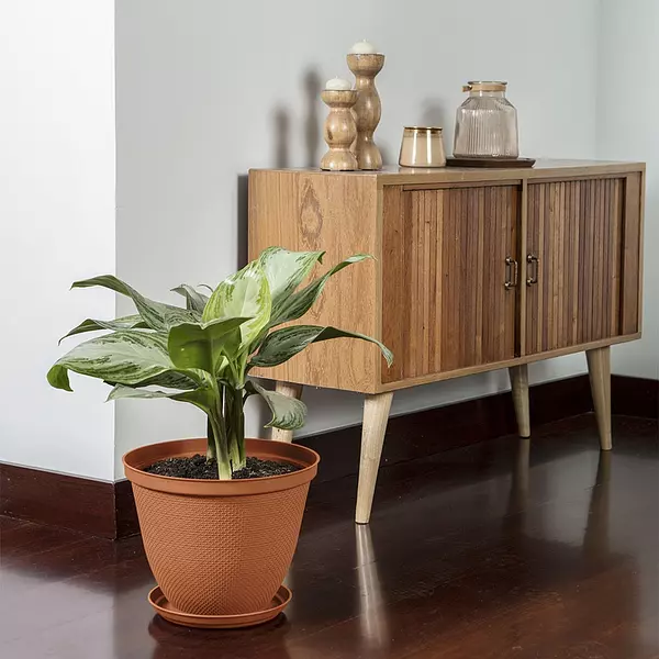 Matera Rimax Redonda Rafia 30 Cm Con Plato Terracota