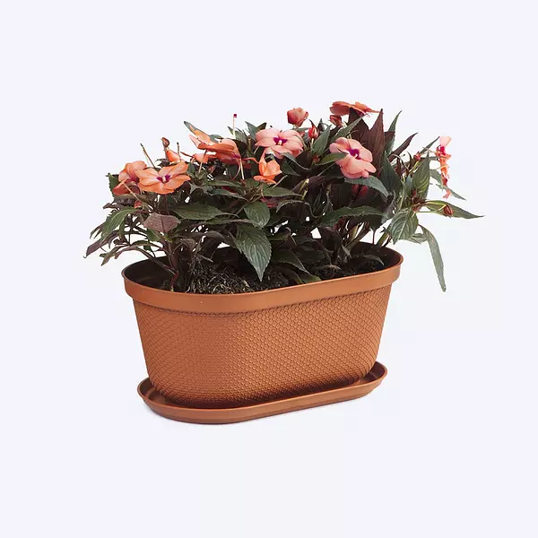 Matera Rimax Ovalada Rafia 40 Cm Con Plato Terracota